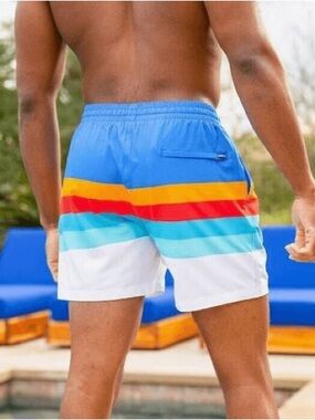 chubbies Shoreline 5.5” Bright Blue Multi-Stripe Swim Trunks Large